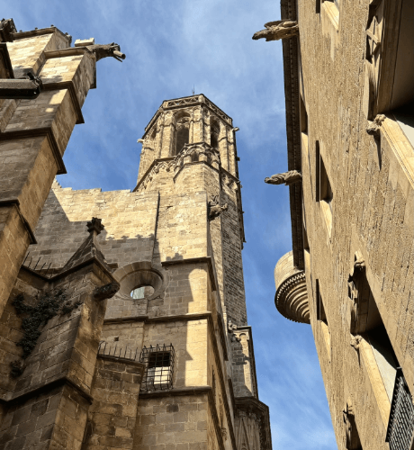 edificios del barrio gótico durante un tour de historia